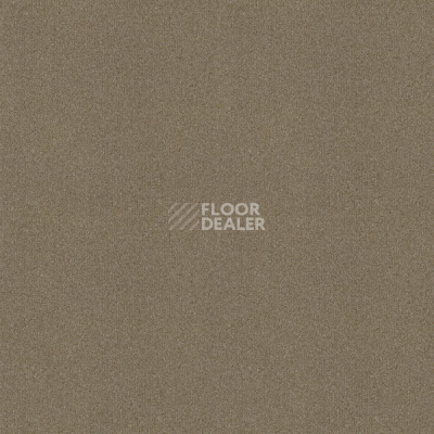 Ковровая плитка Tessera basis pro 4378 Malt фото 1 | FLOORDEALER